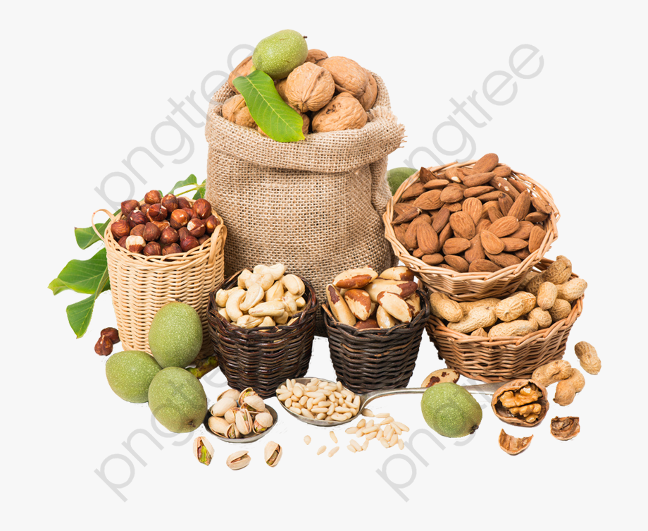 Earthquake clipart food storage. Dried nut gold nuts