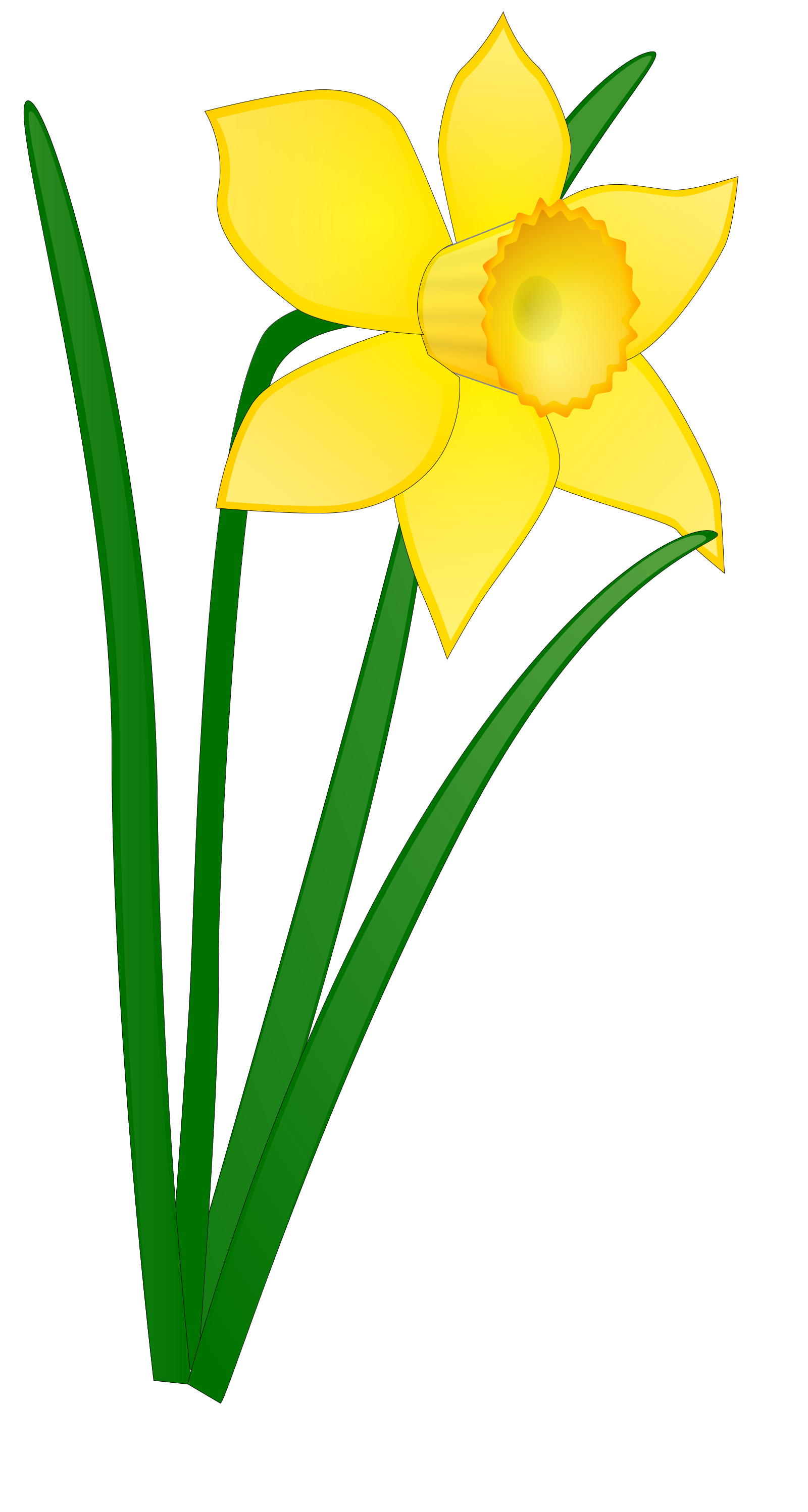 easter clipart daffodil