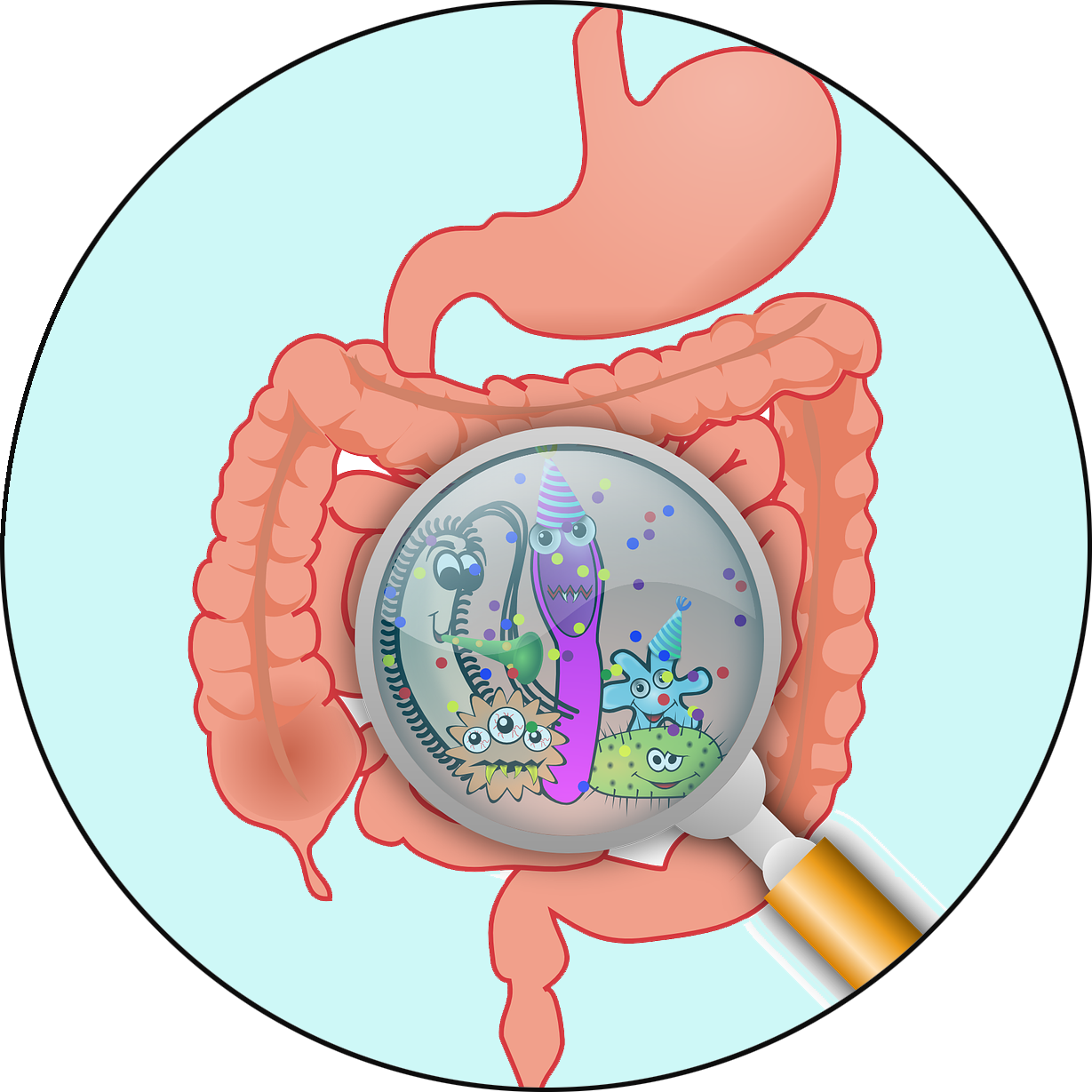 Use your internal housekeeper. Eat clipart digestive tract