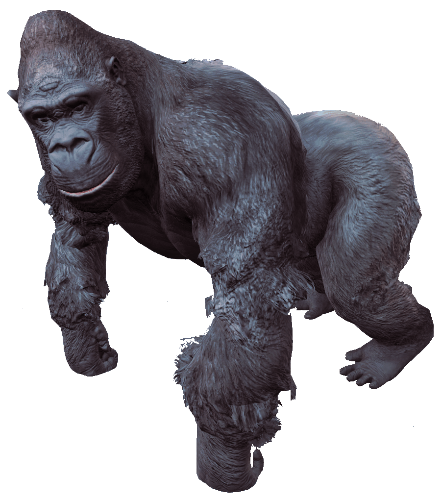 gorilla clipart mammal