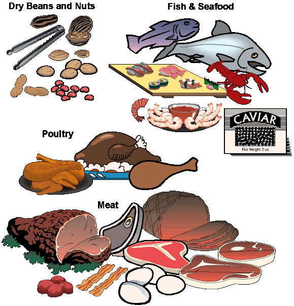 Nutrition clipart important. Ideal diet update the