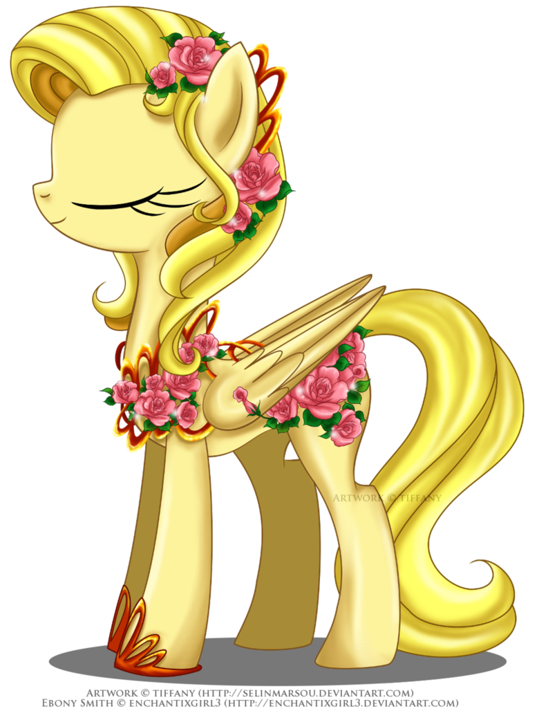 eclipse clipart souvenirs