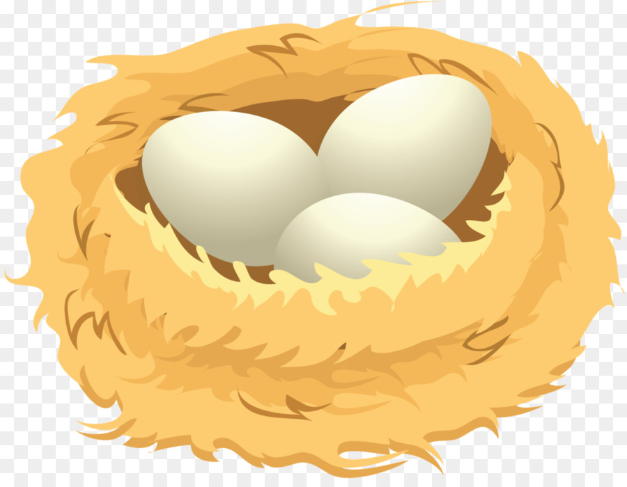 egg clipart bird egg