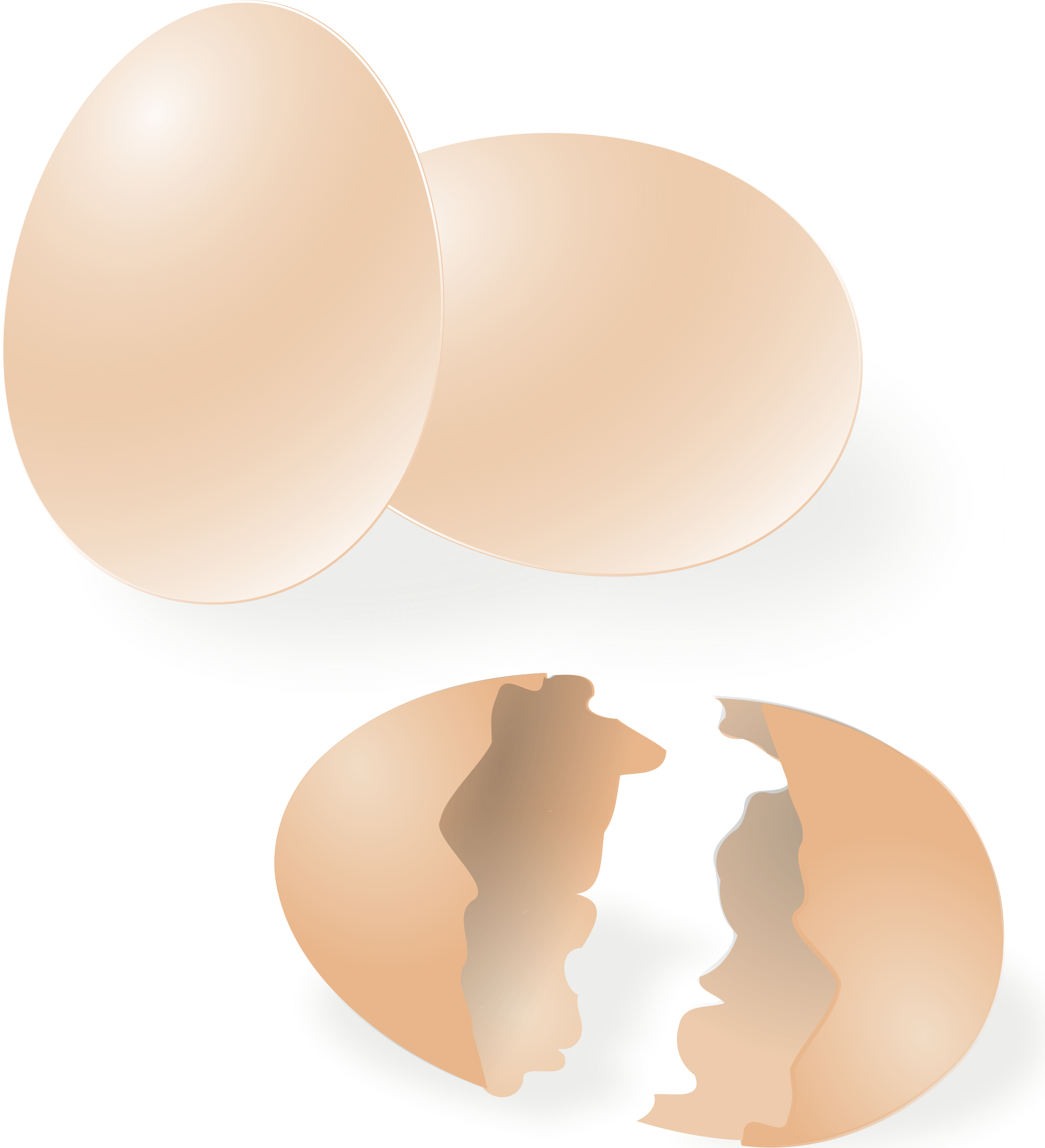 egg clipart broken egg
