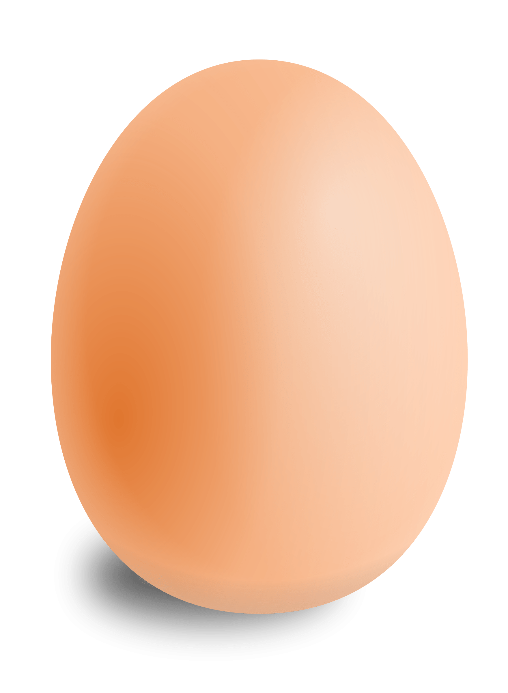 Oval clipart oval egg. Single transparent png stickpng