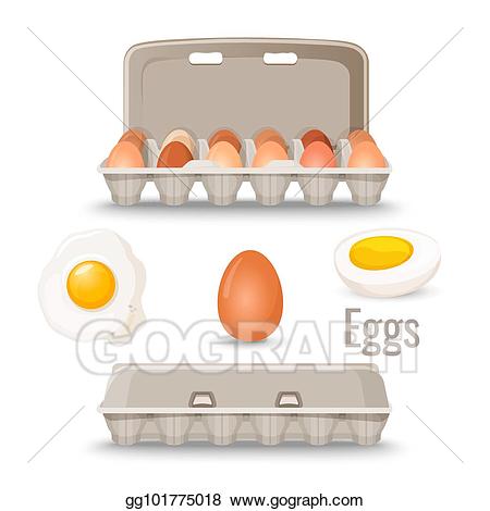 Download Egg Clipart Container Egg Container Transparent Free For Download On Webstockreview 2020 PSD Mockup Templates
