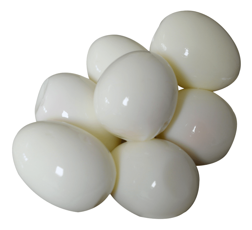 egg clipart cooked egg