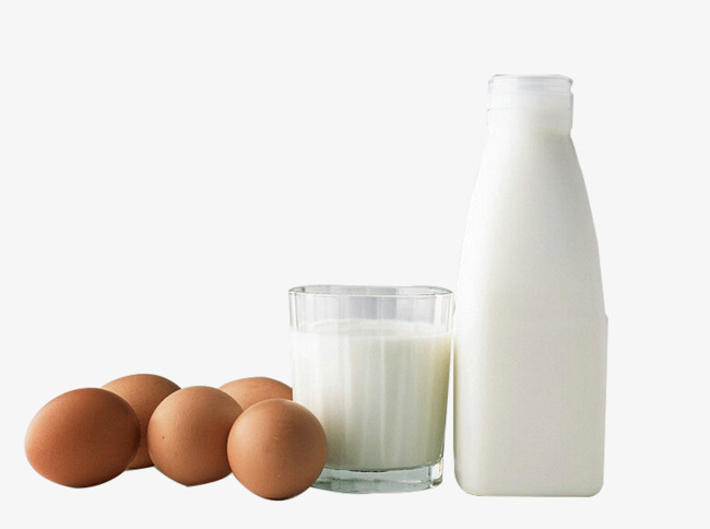 eggs clipart dairy
