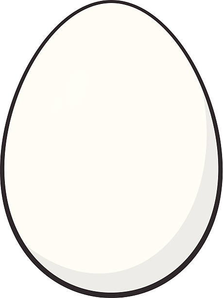 egg clipart egg whites