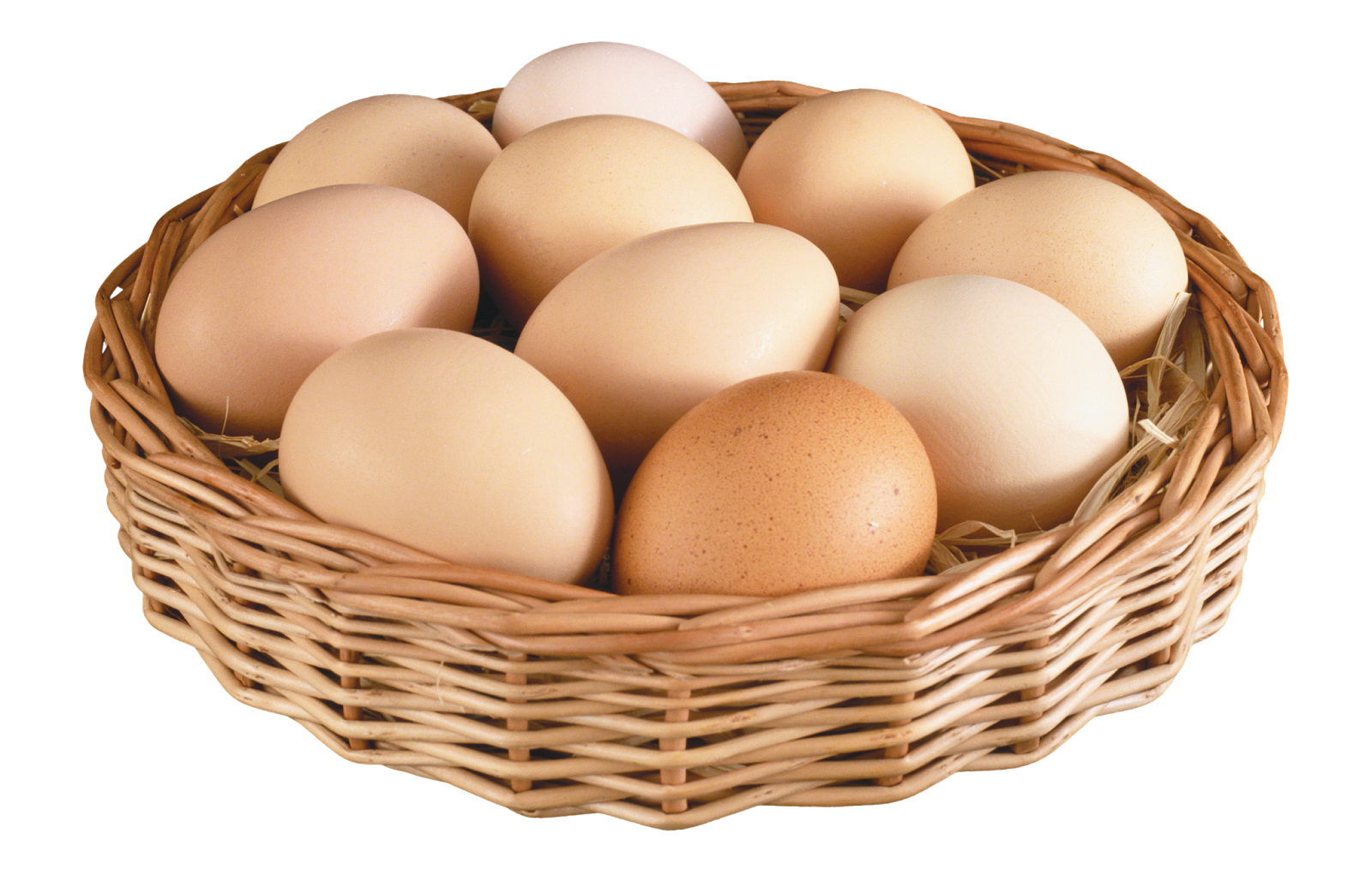 egg clipart farm egg