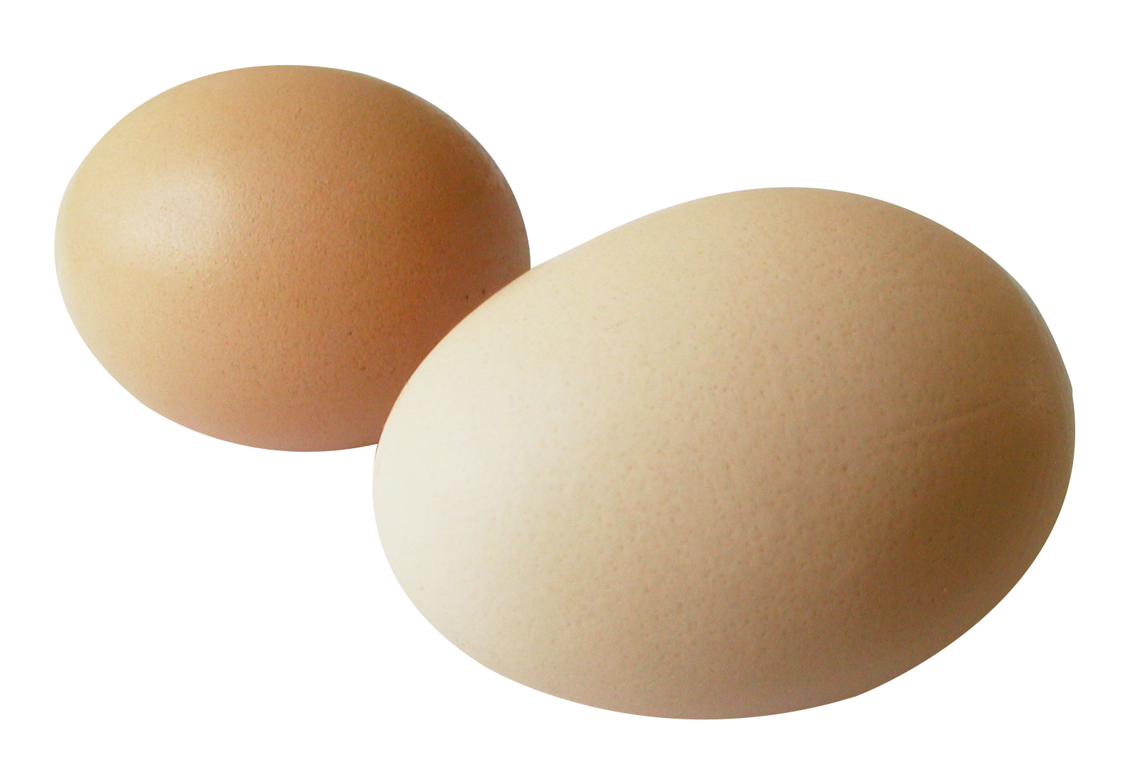 egg clipart hen egg