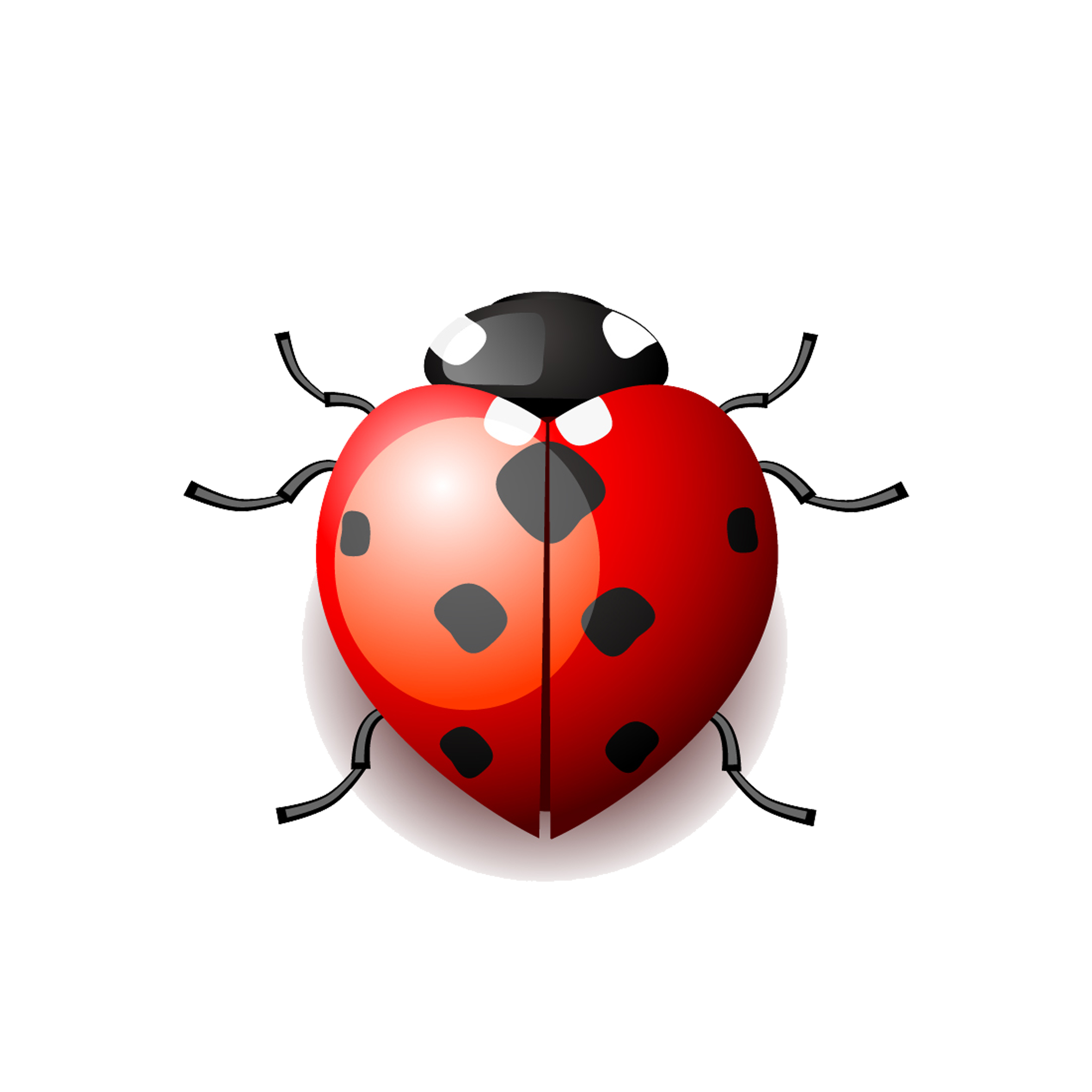 Drawing cartoon ladybird clip. Ladybugs clipart egg