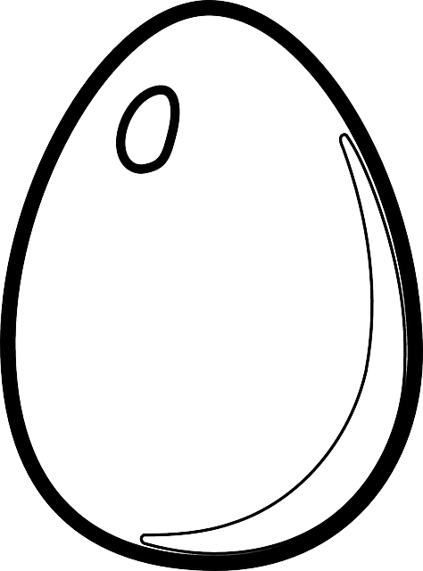 eggs clipart line drawing