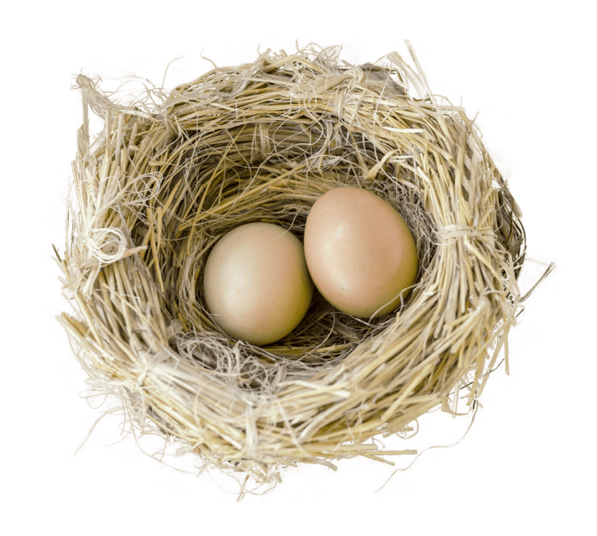 Egg clipart nest. Bird png free images