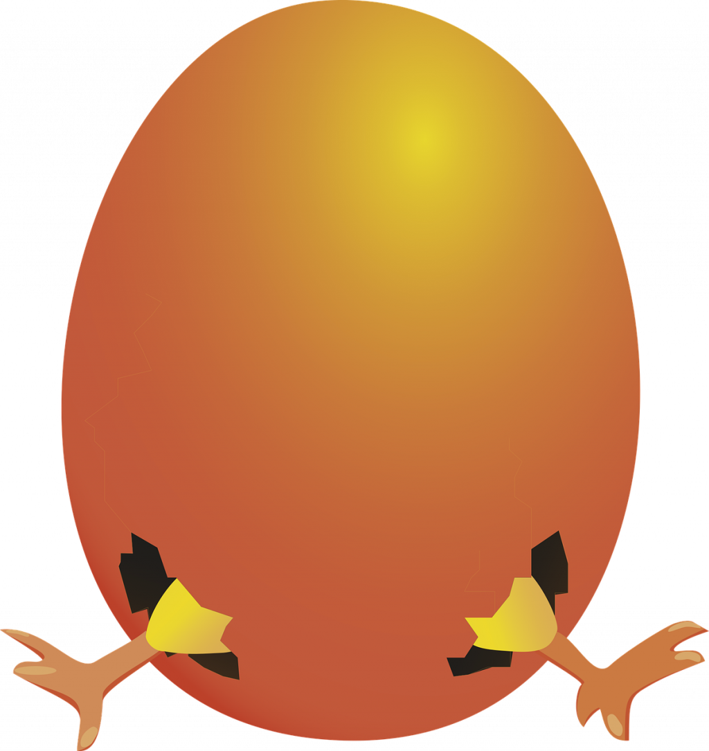 Easter chicks red picpng. Egg clipart orange