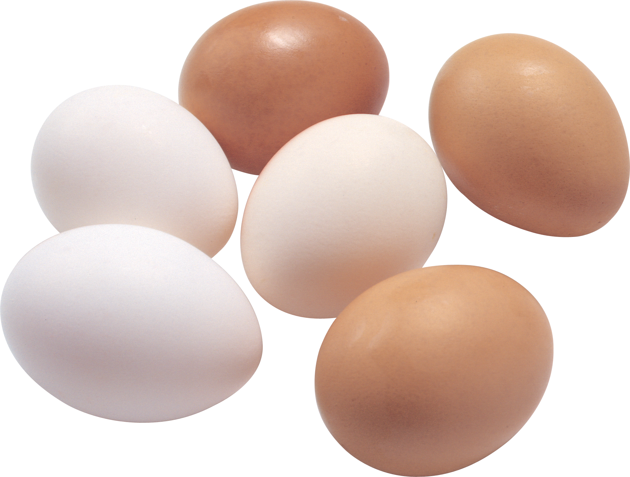 Eggs clipart egg whites. Eighteen isolated stock photo