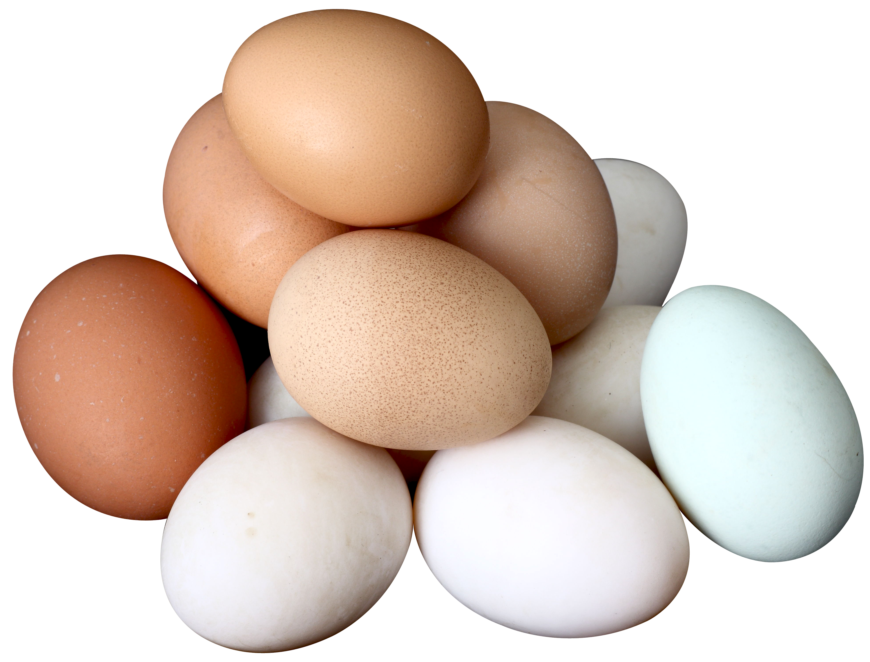 egg clipart salted egg