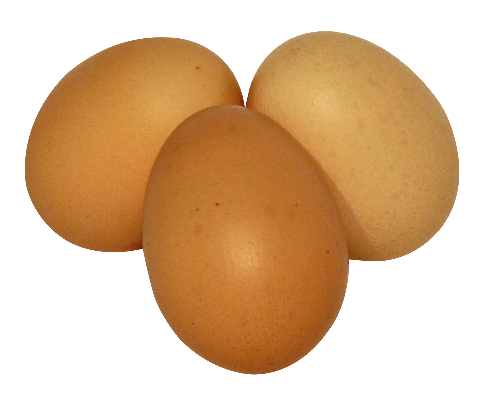 Eggs salted egg