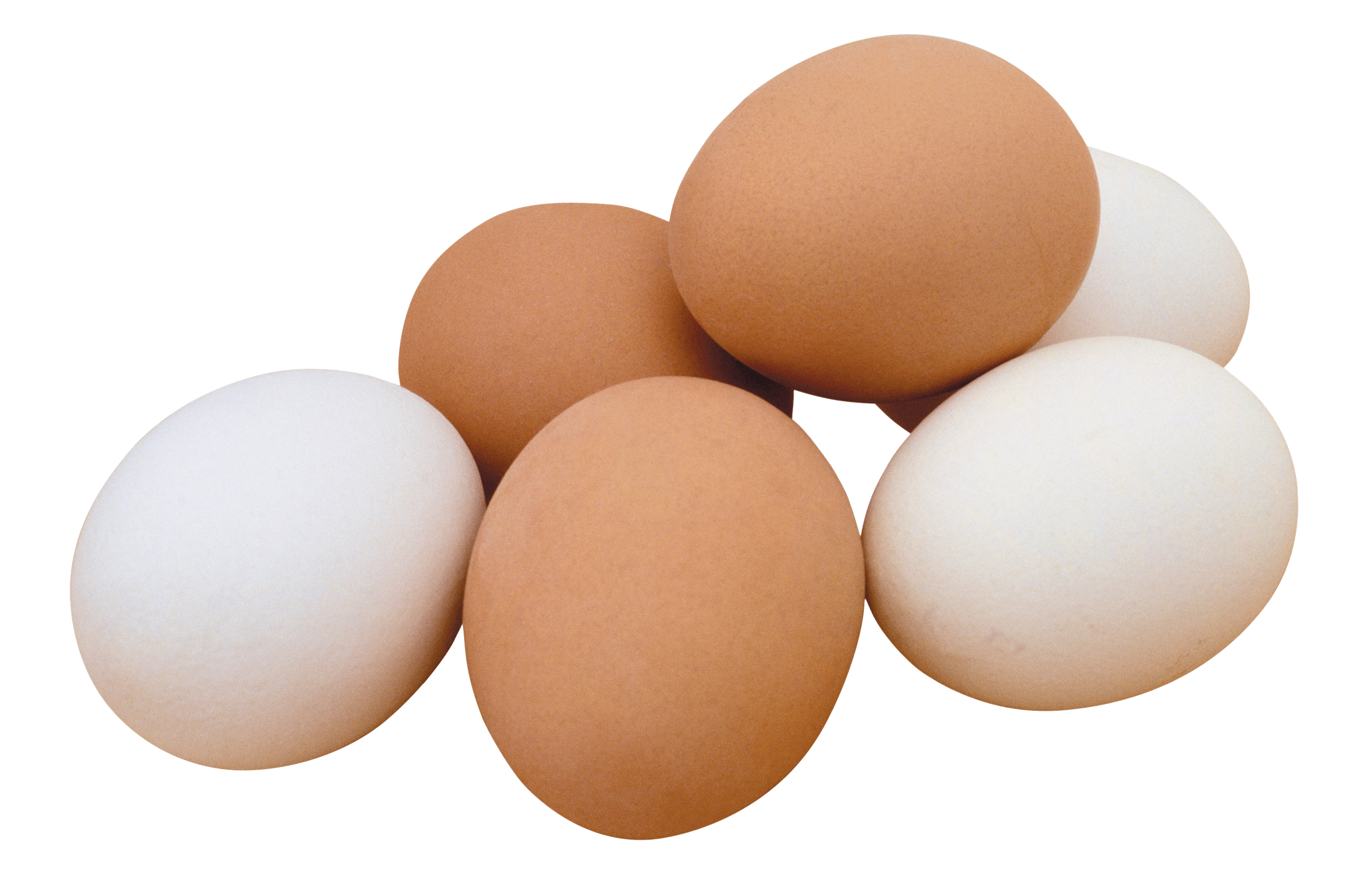 Eggs clipart transparent background. Png image free download