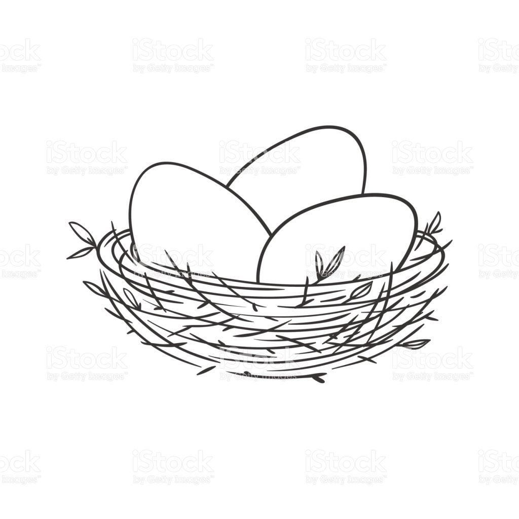 egg clipart sketch