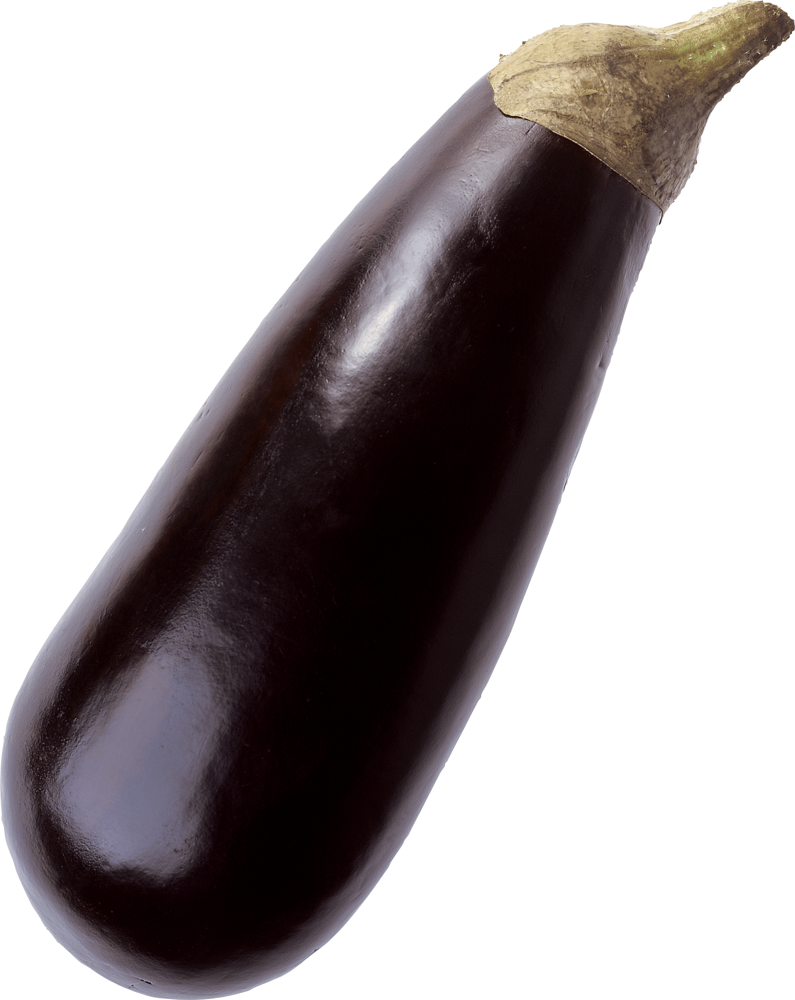 Eggplant brinjol