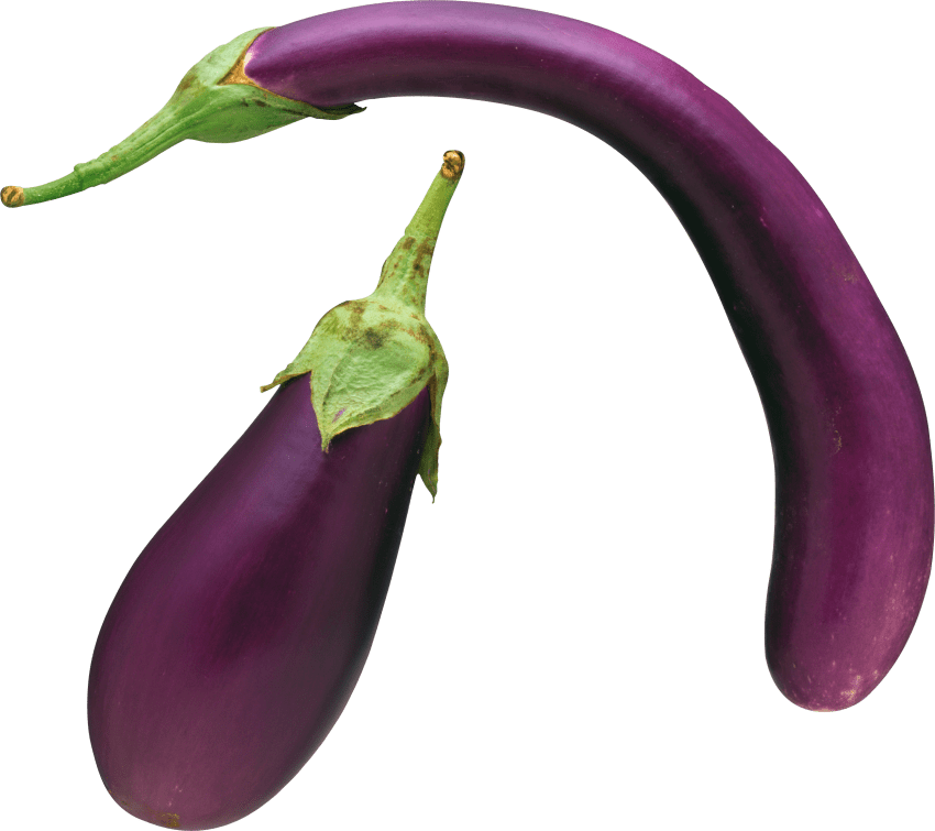 purple clipart brinjal