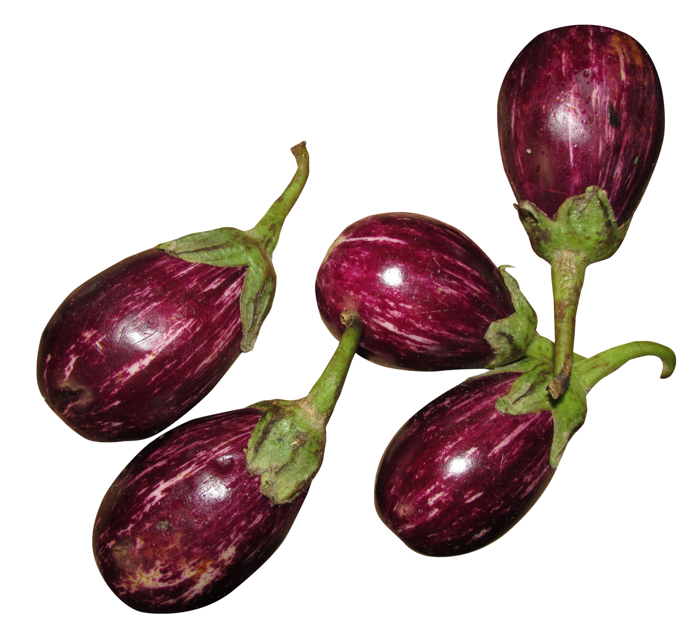 eggplant clipart common vegetable