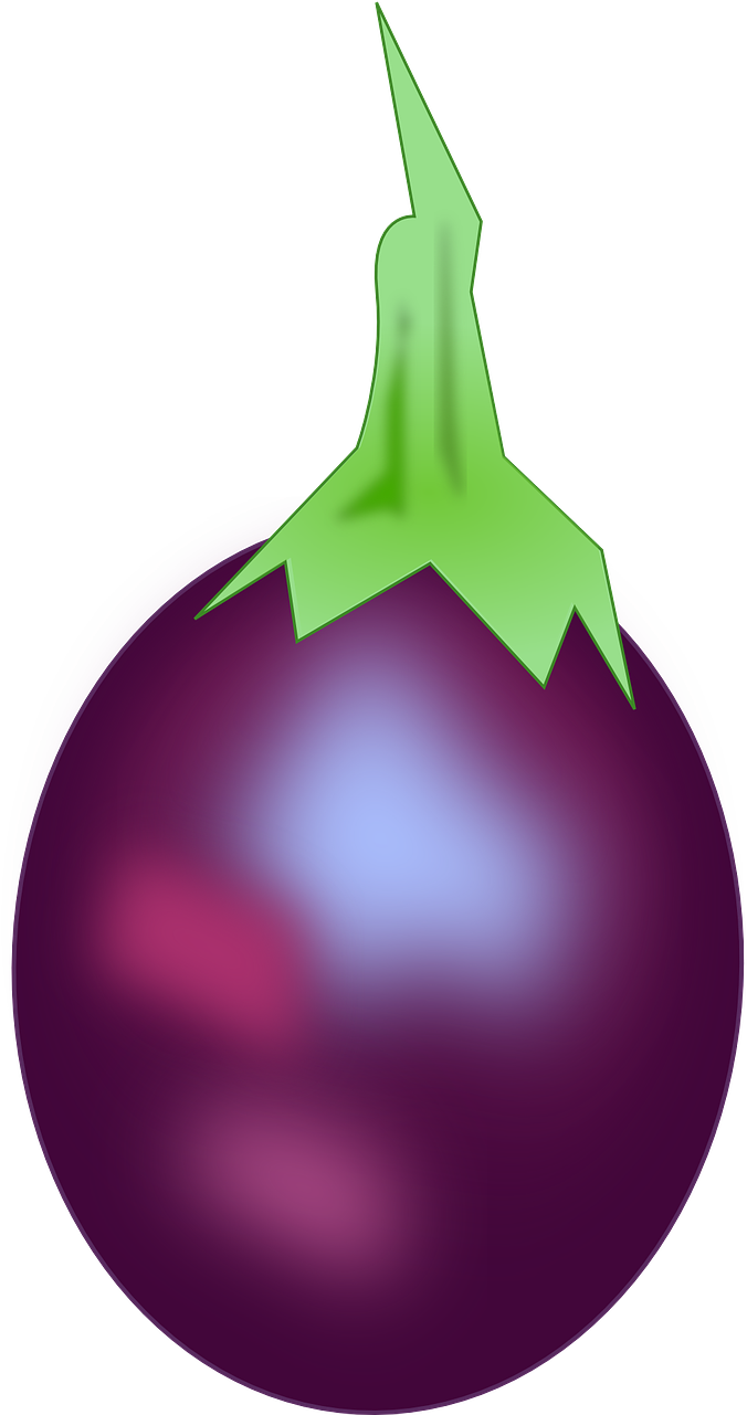 eggplant clipart egg plant