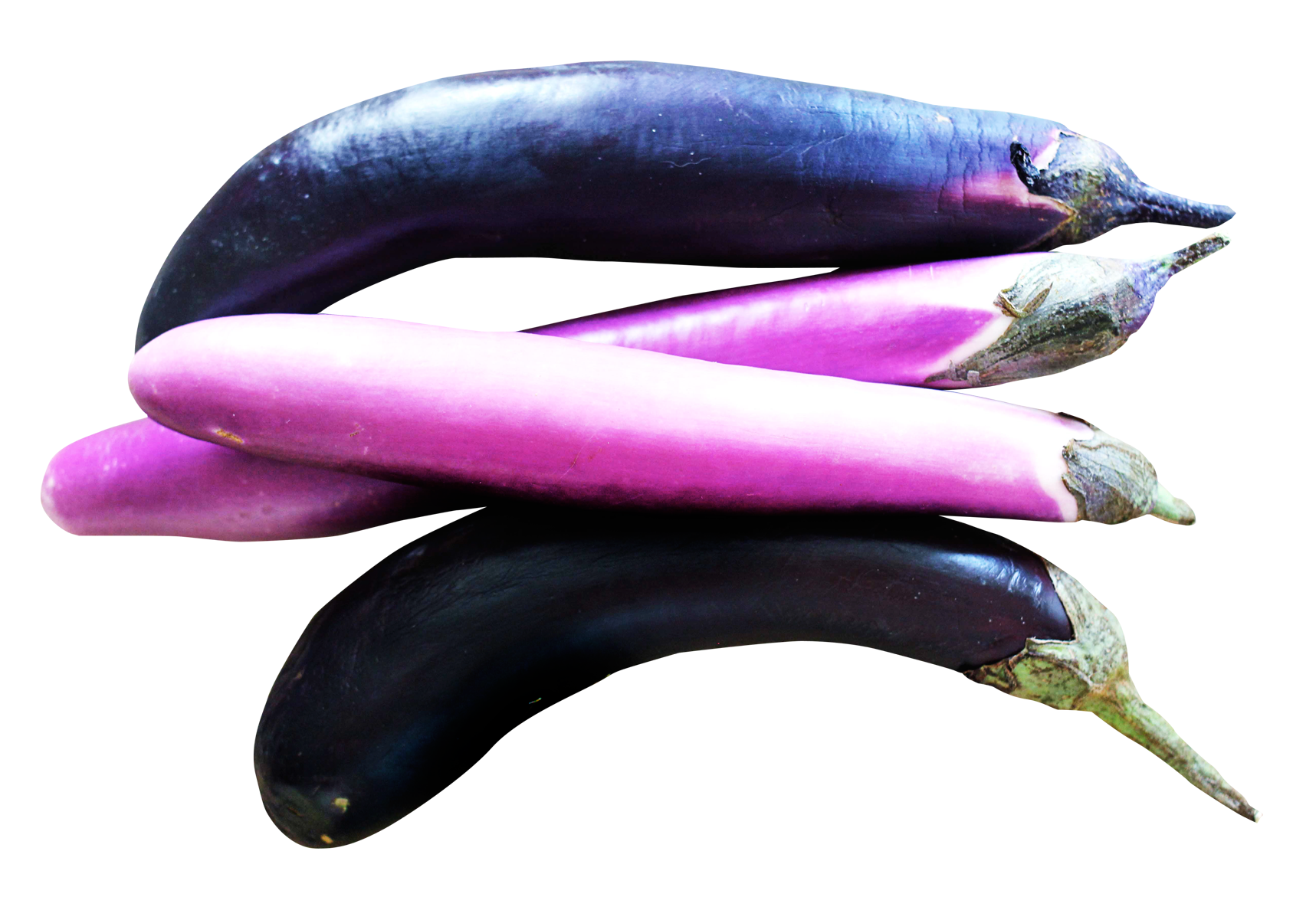 eggplant clipart garden