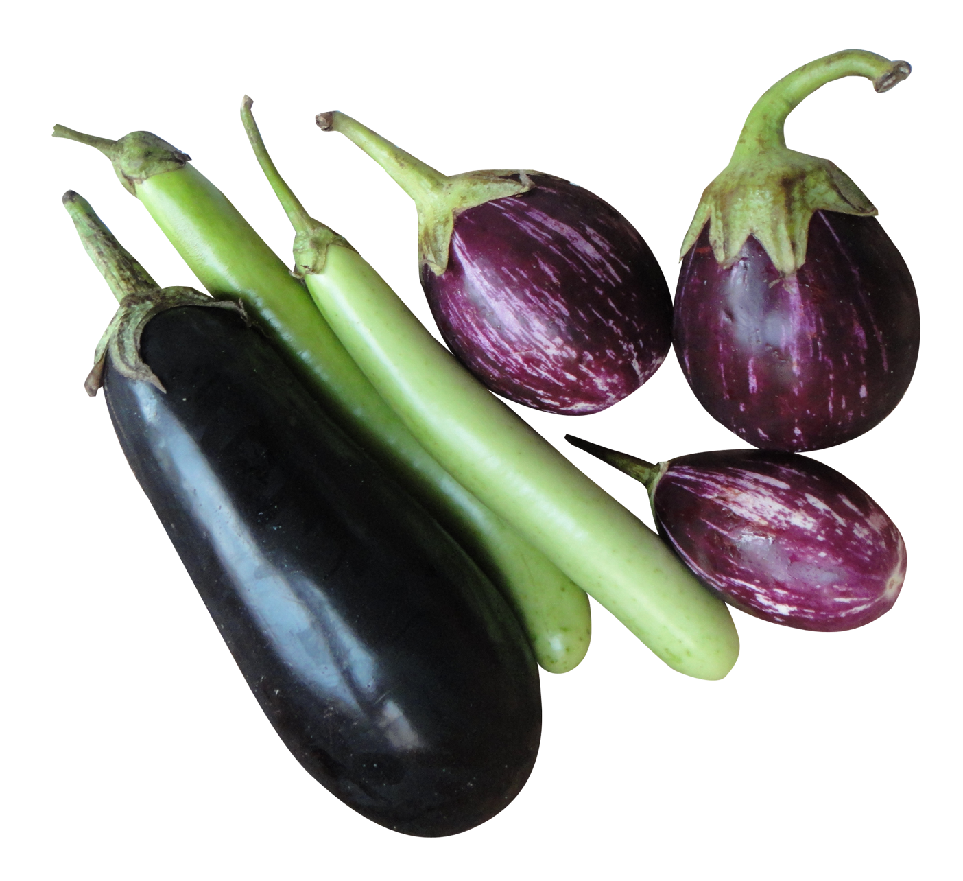 eggplant clipart one