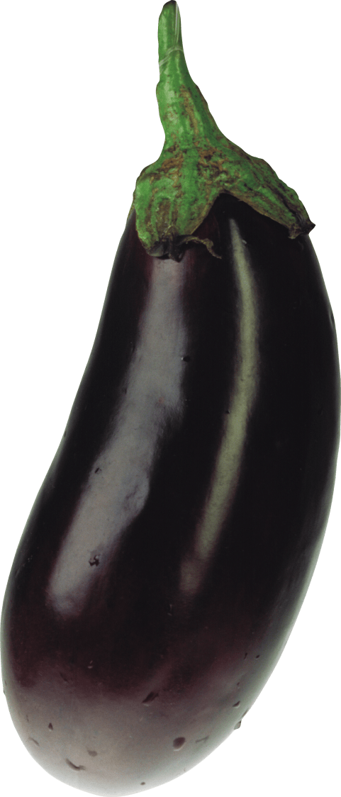 eggplant clipart one