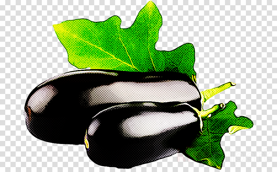 eggplant clipart pretty leaf