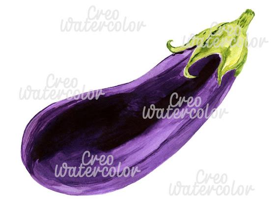Watercolor illustration digital png. Eggplant clipart printable