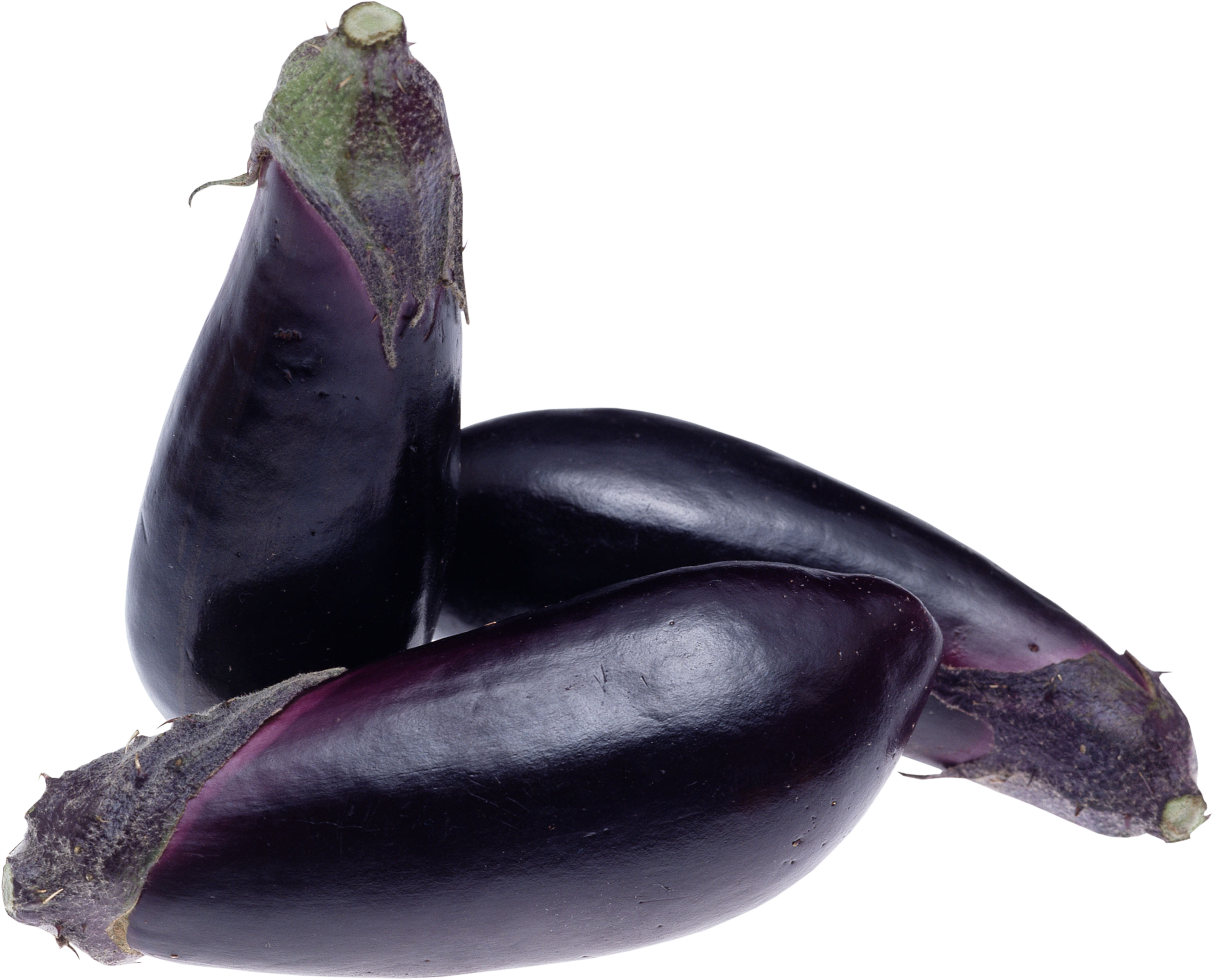 plant clipart eggplant