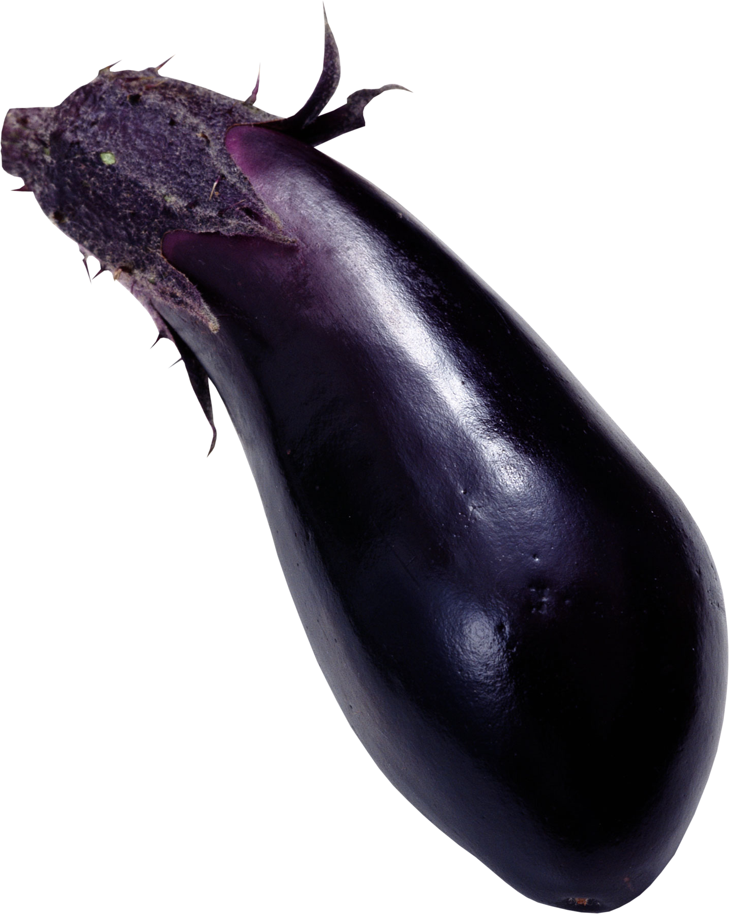 eggplant clipart transparent background