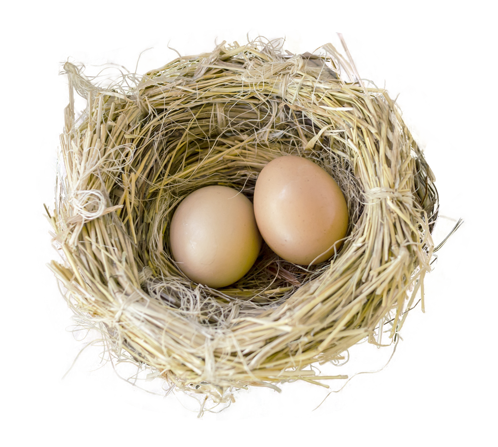 Eggs clipart nest. Bird png image purepng