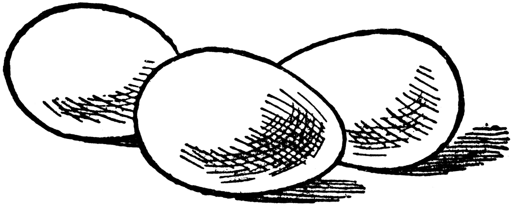 eggs clipart sketch