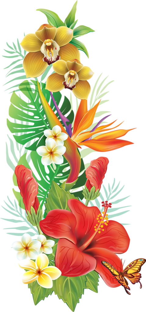 Exotic Tropical Flowers Clipart - Pin on Exotic Flowers - Embed this ...