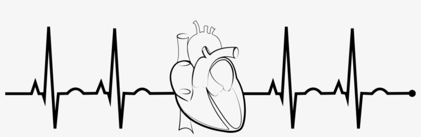 Electrocardiography heart rate medicine. Ekg clipart arrhythmia