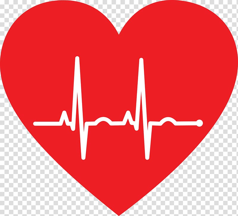 Ekg clipart cardiology. Electrocardiography heart pulse medicine