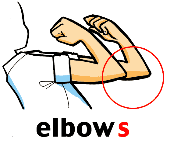 Free cliparts download clip. Elbow clipart