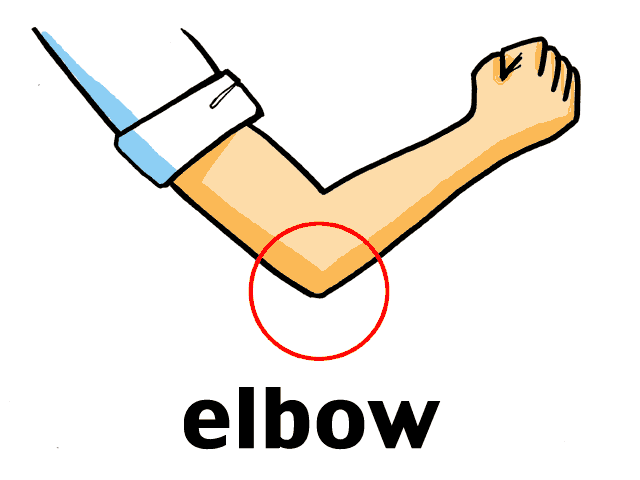 Elbow clipart. Station 