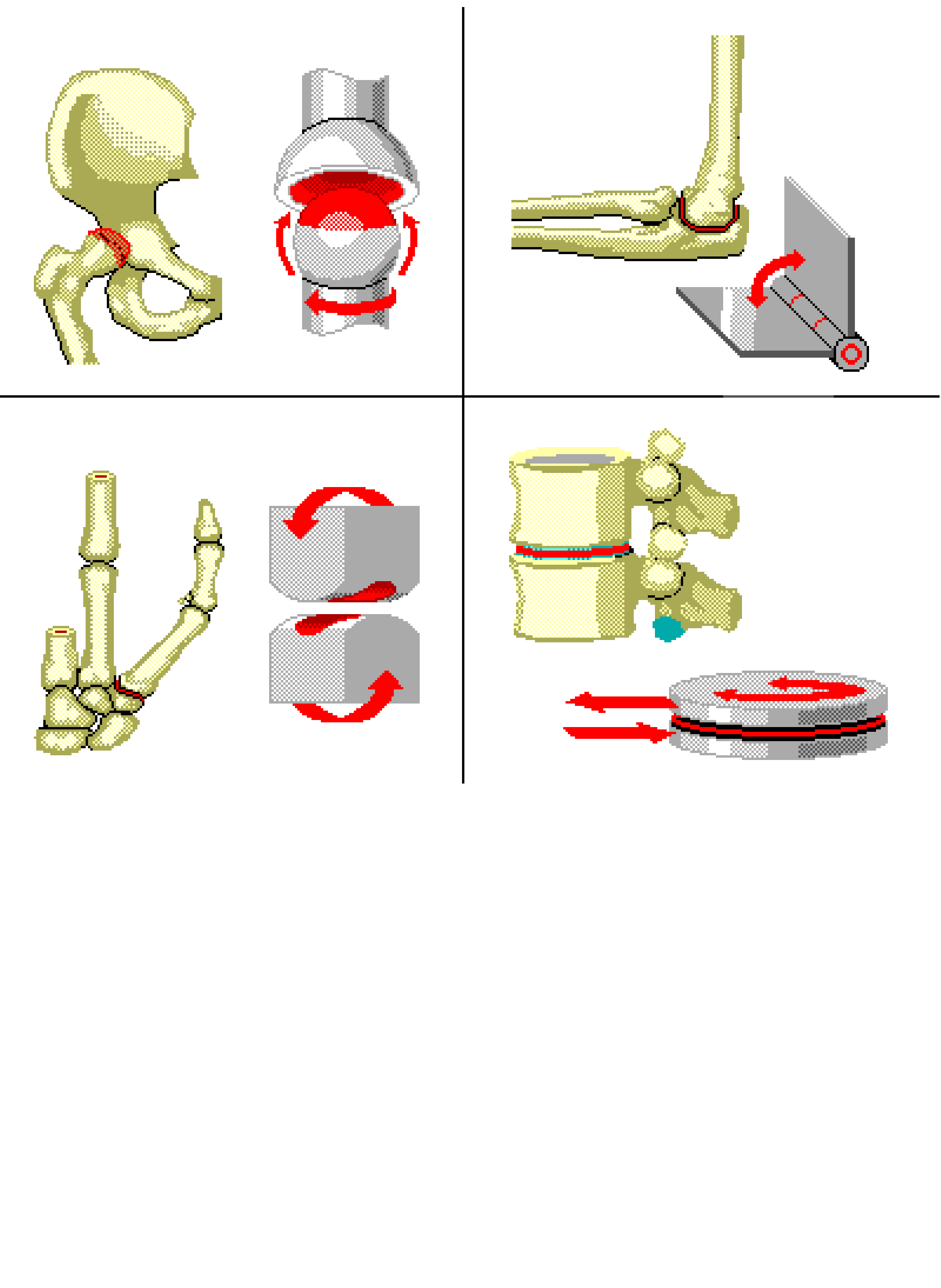 Elbow clipart body joint. Types of joints 