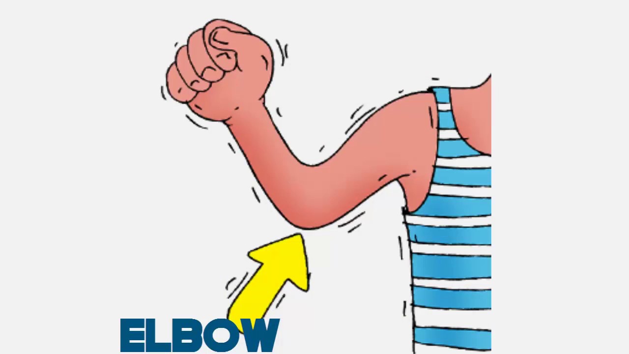 elbow clipart body part