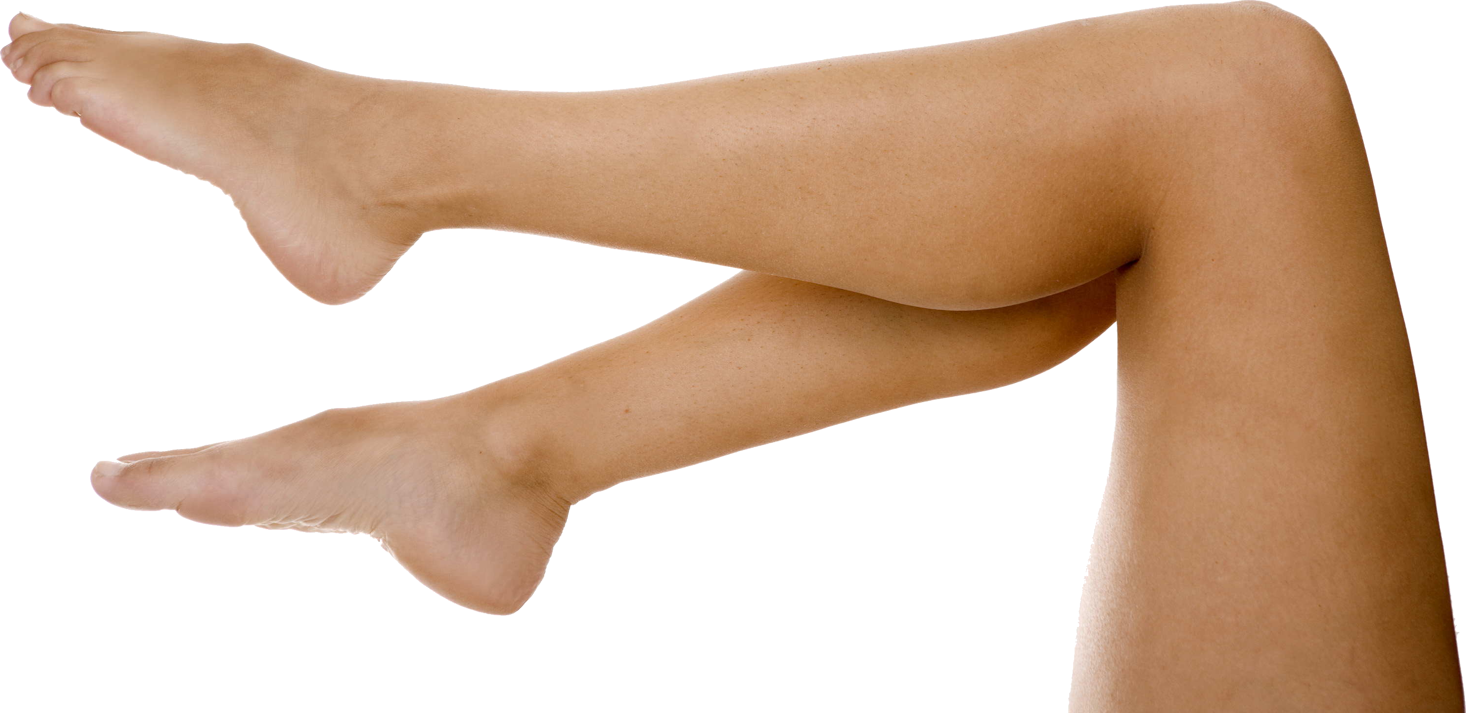 skin clipart leg