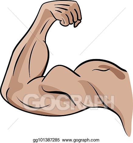 elbow clipart muscular arm