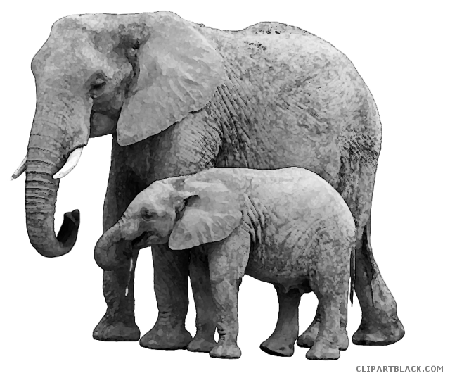 elephant clipart baby animal