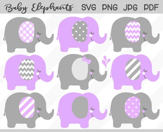 Baby set and gray. Elephant clipart lavender