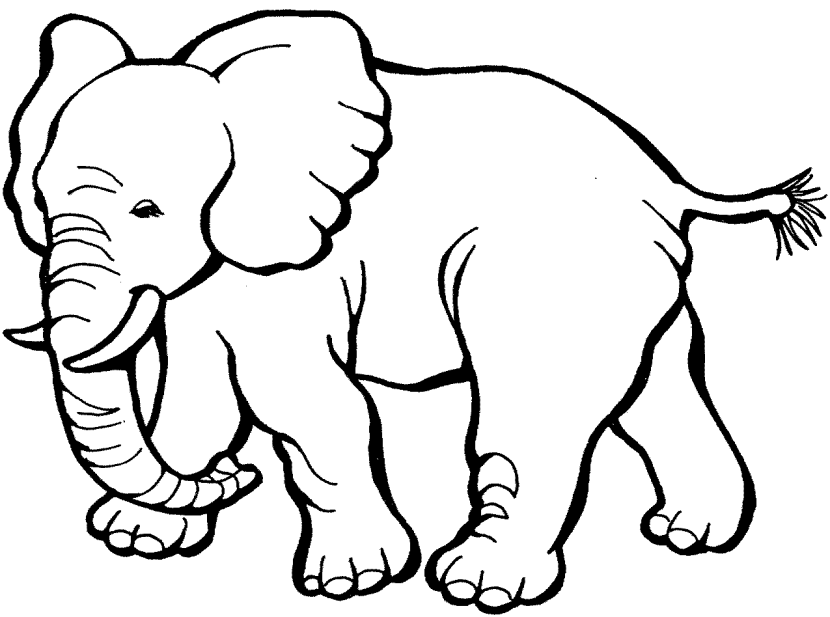 elephant clipart plain