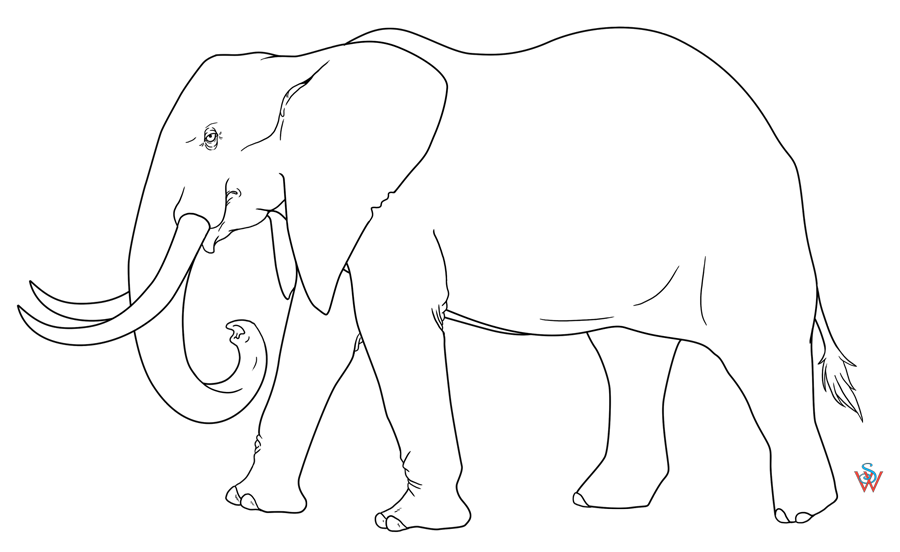 elephant clipart stencil